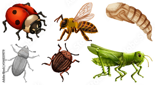Collection of different insects vector © blueringmedia