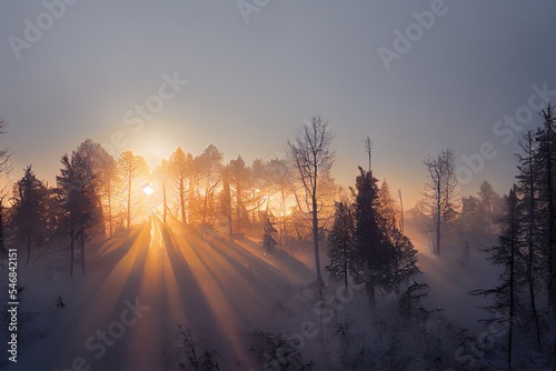 Sunset in deep foggy winter forest. Illak forest, near Pannonhalma in Hungary photo