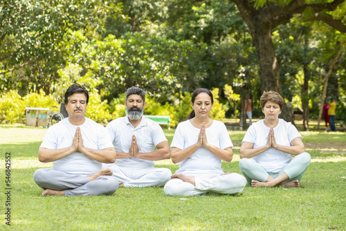 Mental health and fitness concept, Group of indian senior people wear white cloths doing yoga meditation exercise at summer park. Spirituality. Health care, 