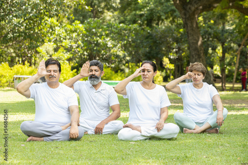 Group of indian senior people practicing pranayama breathing techniques in the park Mature man and woman wearing white cloths doing yoga together.