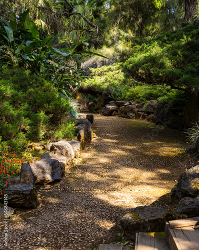 Artificially buit small lanes and small pine trees. photo