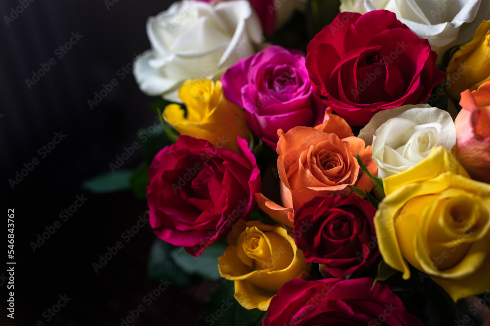 Obraz premium Bunch of colorful roses. Beautiful bouquet of roses in variety of colors on dark background. Copy space