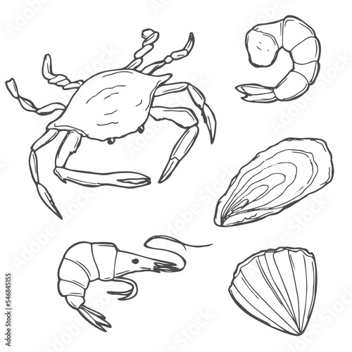 Hand drawn Seafood set. Decorative icons Squid, Octopus, salmon, oysters, scallops, lobster, red perch ,crab, shellfish and mussels. Vector illustration in old ink style