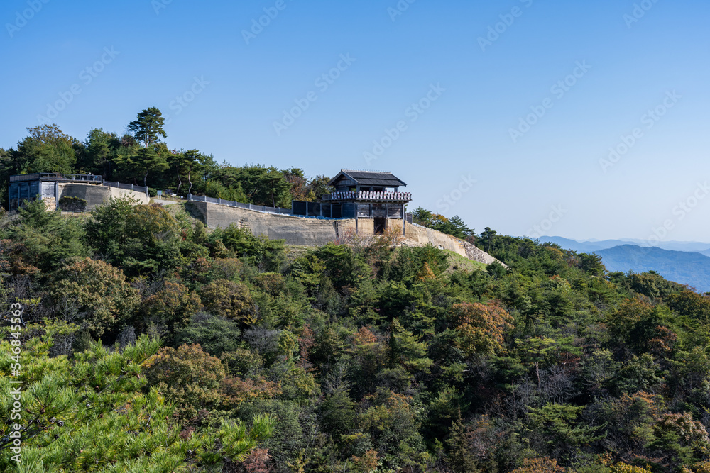 custom made wallpaper toronto digital鬼ノ城