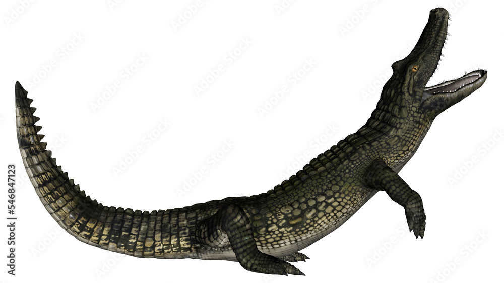 Fototapeta premium Caiman roaring - 3D render