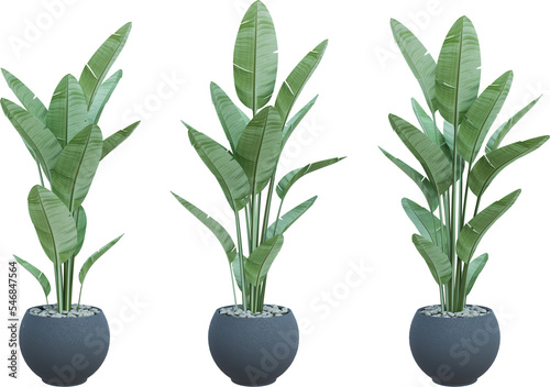 Obraz na plátně 3d illustration of a collection of plants in pots, perfect for digital compositi