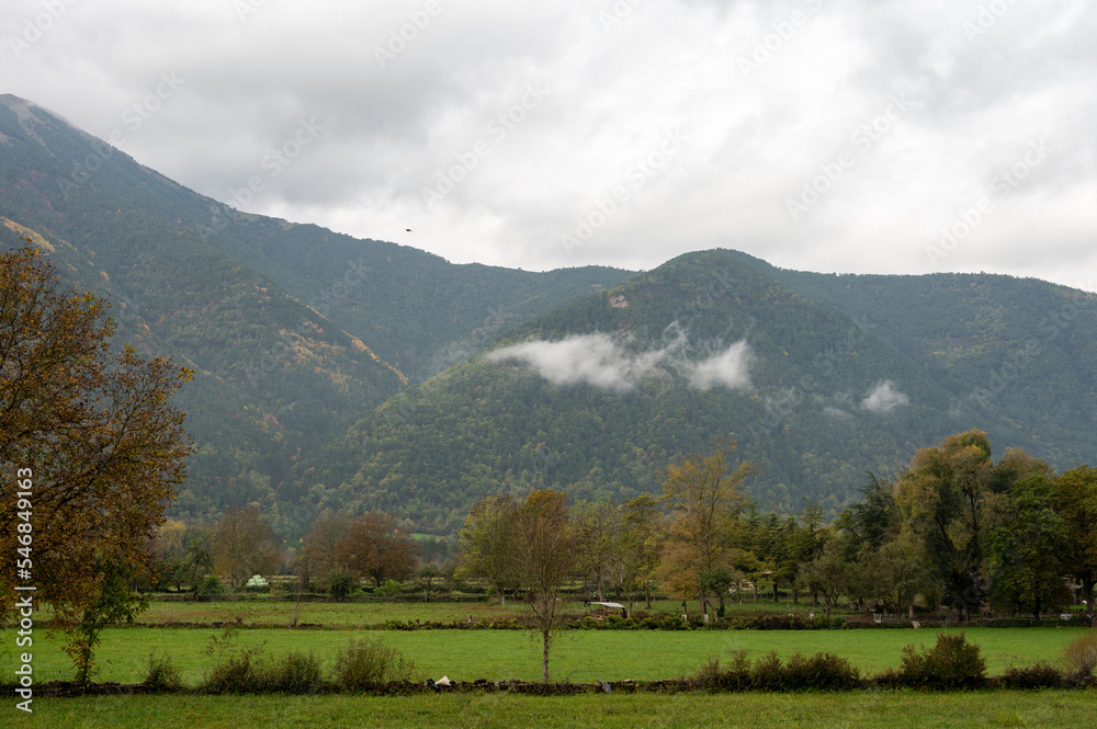 Pasture field for cattle with misty mountains in the background