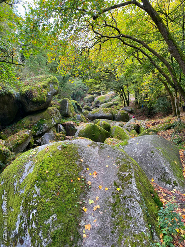 Quadro em tela Chaos granitique de la forêt de Houelgat, Finistère, Bretagne, France