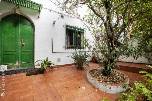 A garden of a single-family house with a green gate and trees in corrals