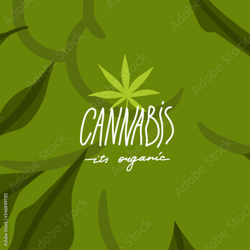 Hand drawn vector abstract graphic clipart illustration of Medical Marijuana,smoking accessories.Hemp and joint for smoking .Cannabis and weed legalization concept design.Trendy vector illustration.