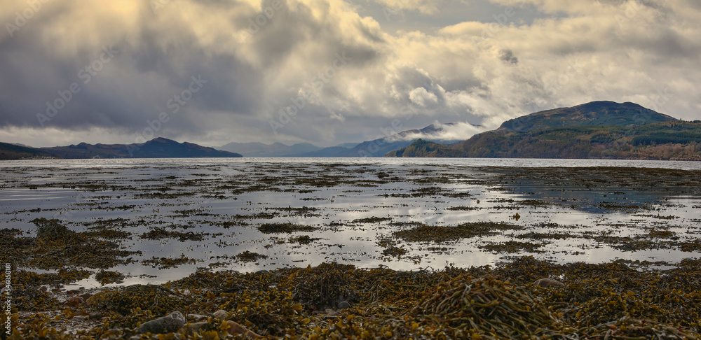 Late afternoon, and an overcast sky is reflected in the calm surface of Loch Fyne. Strachur. Argyll and Bute. Scotland