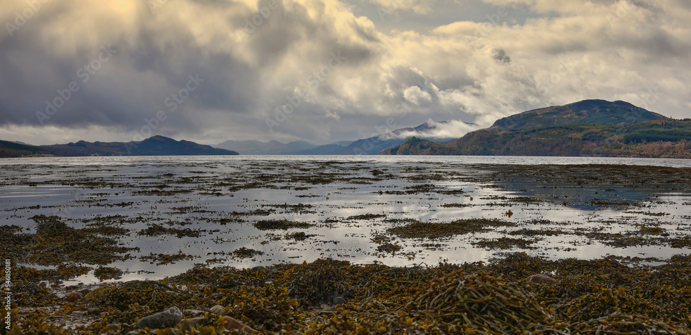 Late afternoon, and an overcast sky is reflected in the calm surface of Loch Fyne. Strachur. Argyll and Bute. Scotland Late afternoon, and an overcast sky is reflected in the calm surface of Loch Fyne. Strachur. Argyll and Bute. Scotland