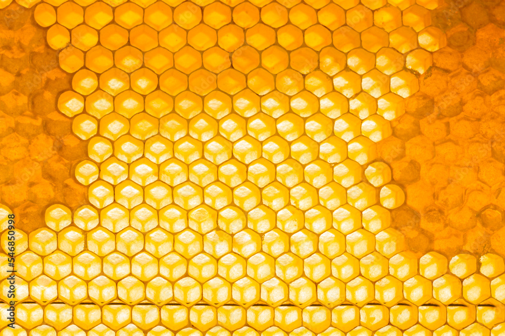Honeycomb close up background. Natural honey in honeycomb wallpaper. Beekeeping concept. Cells of a frame partially filled with honey Honeycomb close up background. Natural honey in honeycomb wallpaper. Beekeeping concept. Cells of a frame partially filled with honey
