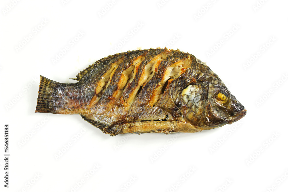 Grilled tilapia fish, isolate on white background. Grilled tilapia fish, isolate on white background.