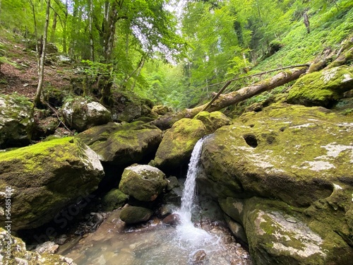 Ambience of a creek Curak in the significant landscape Green whirpool - Croatia  Ambijent potoka Curak u zna  ajnom krajoliku Zeleni vir  Skrad - Gorski kotar  Hrvatska 