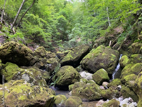 Ambience of a creek Curak in the significant landscape Green whirpool - Croatia (Ambijent potoka Curak u značajnom krajoliku Zeleni vir, Skrad - Gorski kotar, Hrvatska)