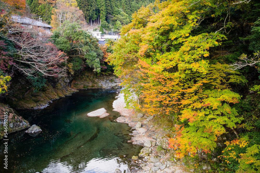 みたらい渓谷(奈良県天川村)の紅葉