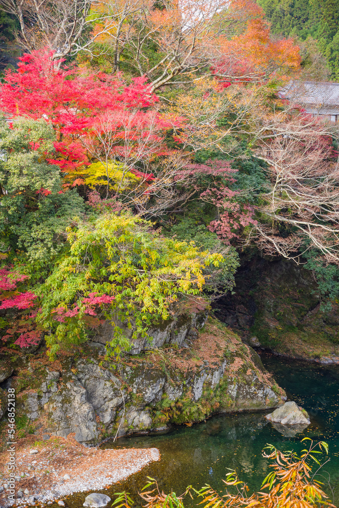 みたらい渓谷(奈良県天川村)の紅葉