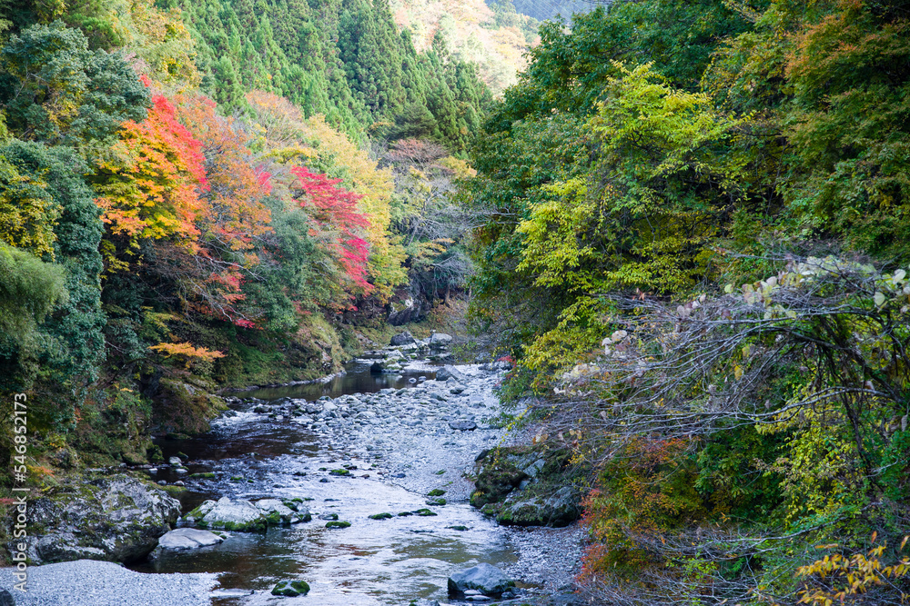 みたらい渓谷(奈良県天川村)の紅葉