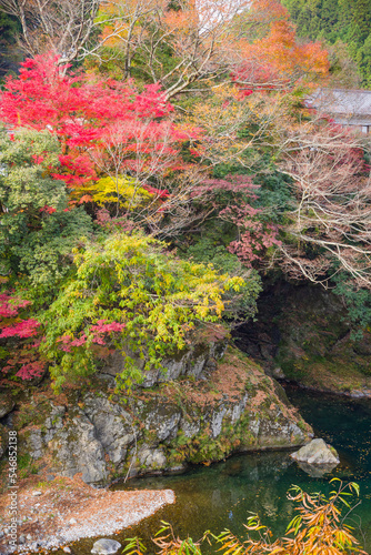 みたらい渓谷（奈良県天川村）の紅葉