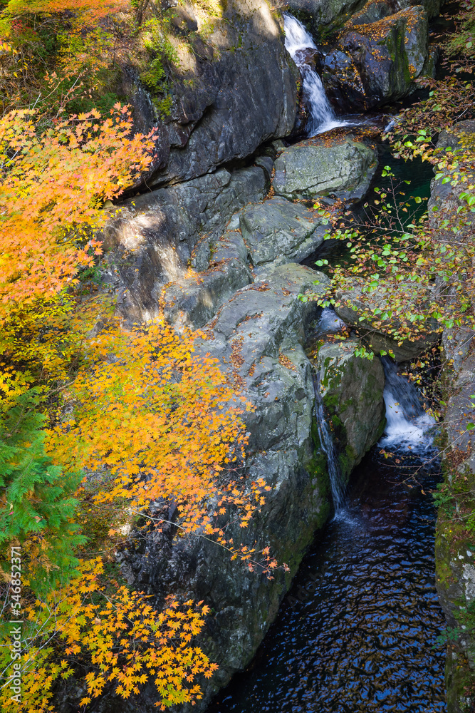 みたらい渓谷(奈良県天川村)の紅葉