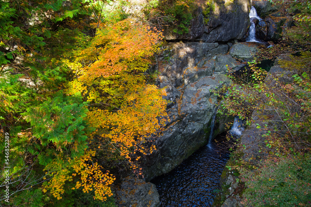 みたらい渓谷(奈良県天川村)の紅葉