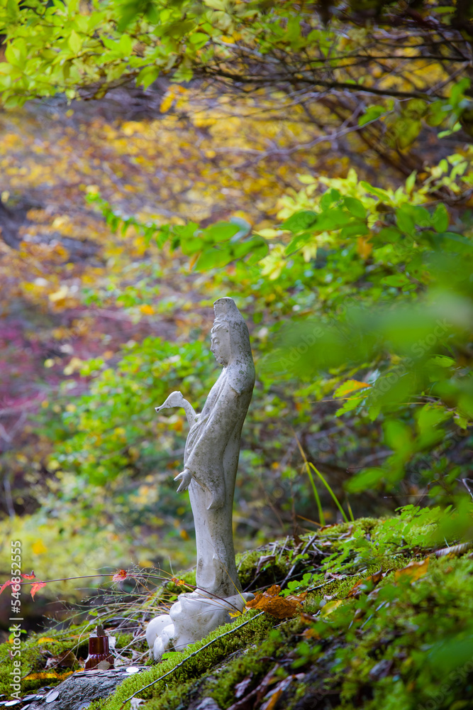 みたらい渓谷(奈良県天川村)の紅葉