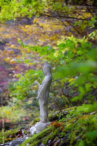 Obraz na płótnie みたらい渓谷(奈良県天川村)の紅葉 w salonie