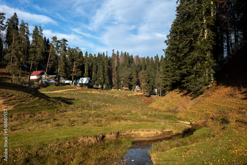 Balikli plateau forest and wooden house image photo