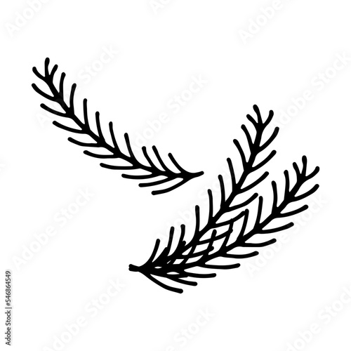 Doodle single twig branch element. Christmas tree, pine, fir, needles. Vector illustration.