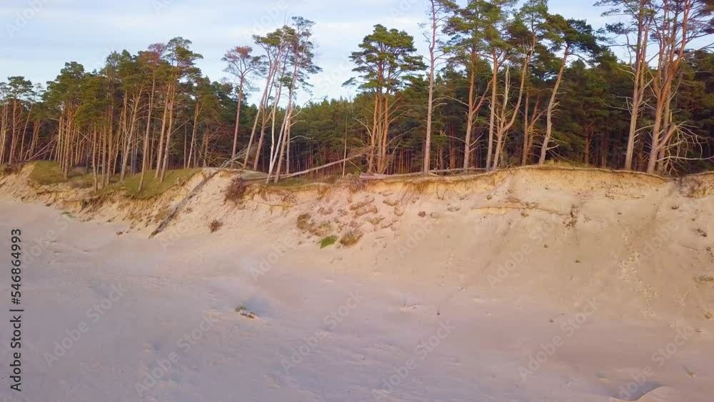 Beautiful aerial establishing view of Baltic sea coast on a sunny evening, golden hour, beach with white sand, coastal erosion, climate changes, wide angle ascending drone shot moving forward Beautiful aerial establishing view of Baltic sea coast on a sunny evening, golden hour, beach with white sand, coastal erosion, climate changes, wide angle ascending drone shot moving forward