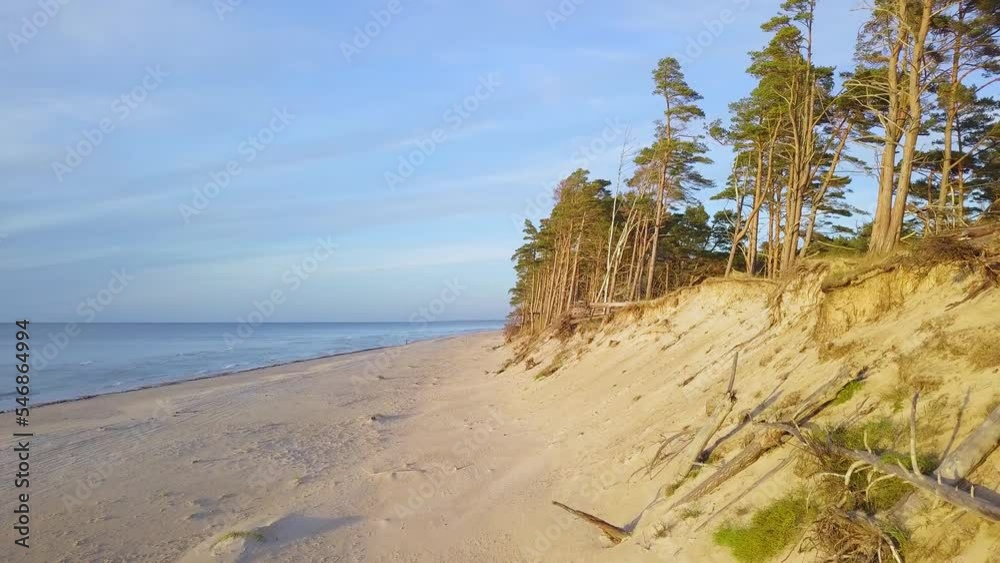 Beautiful aerial establishing view of Baltic sea coast on a sunny evening, golden hour, beach with white sand, coastal erosion, climate changes, wide angle drone shot moving backward Beautiful aerial establishing view of Baltic sea coast on a sunny evening, golden hour, beach with white sand, coastal erosion, climate changes, wide angle drone shot moving backward