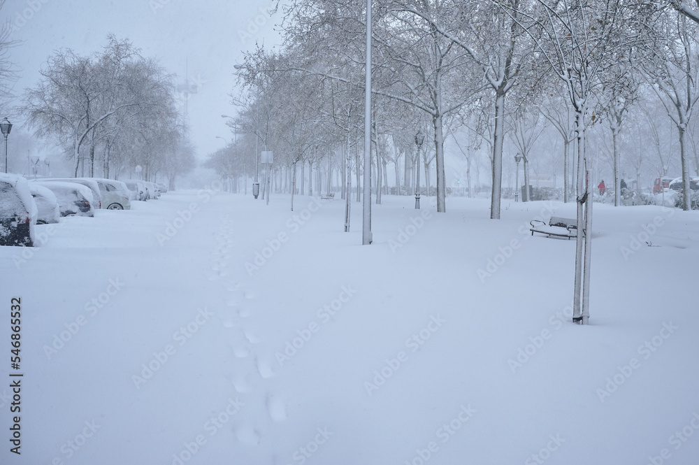 City big avenue covered with snow after a Cyclogenesis blizzard. Cold winter scenes at the city. City big avenue covered with snow after a Cyclogenesis blizzard. Cold winter scenes at the city.