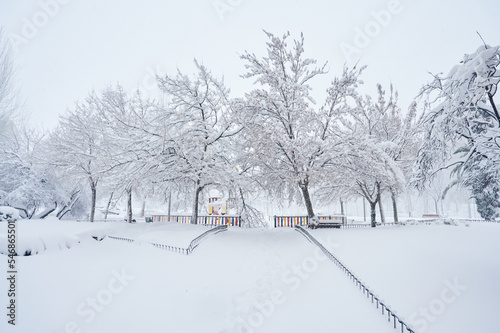Blizzard covered a park with snow after a Cyclogenesis. Cold winter scenes at the city. photo