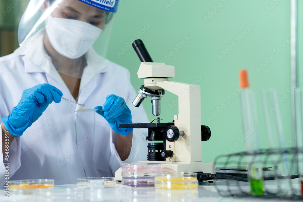 scientist woman use microscopes and test equipment scientist woman use microscopes and test equipment