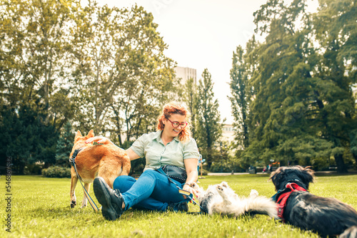 Female dog walker with dogs enjoying in city park. © Zoran Zeremski