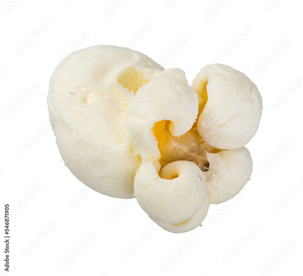 Single popcorn seed, macro shot isolated on transparent background as