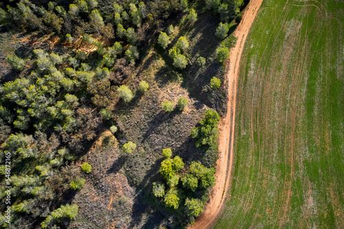 Spring  landscape in the countryside, Israel. Aerial view photo