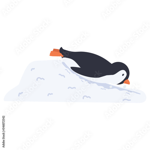 penguin Sliding Off Snow Hill
