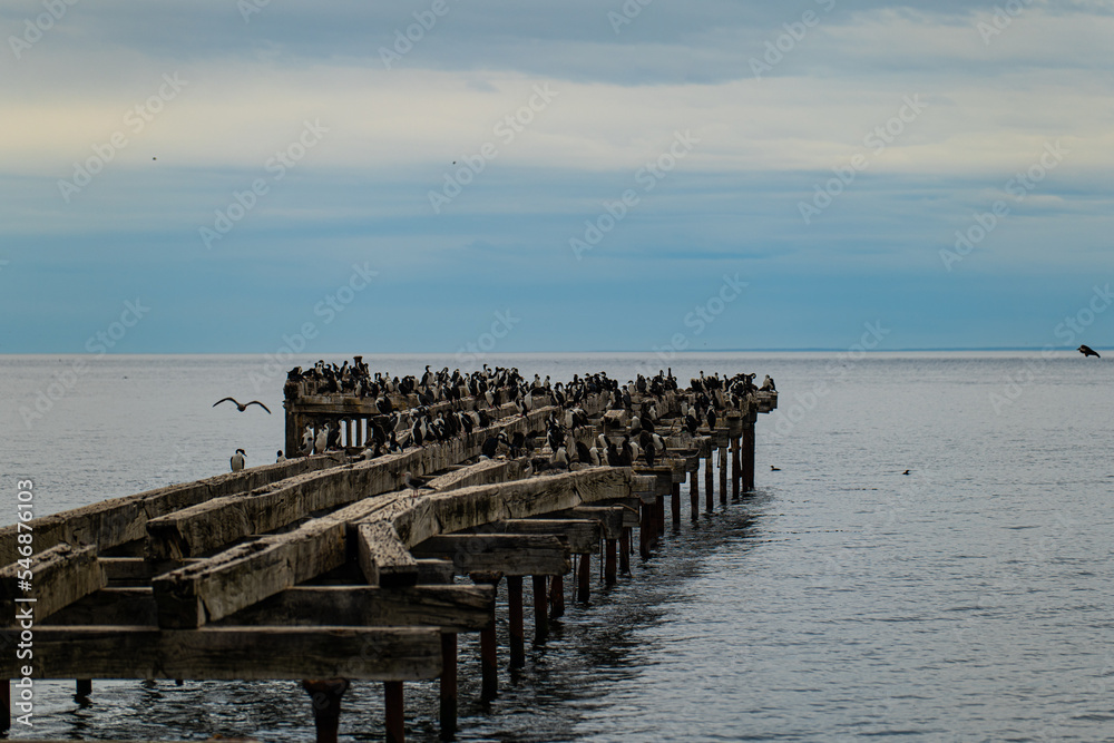 Birds sitting on an abandoned pier 
