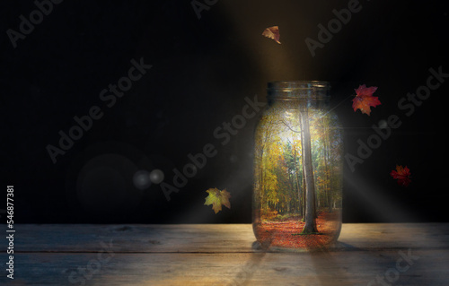 Autumn forest in a jar back...