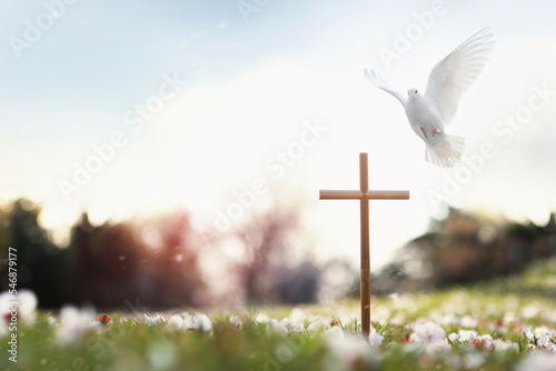 Canvas Print Cross symbolizing the death and resurrection of Jesus Christ, spring flowers, fa