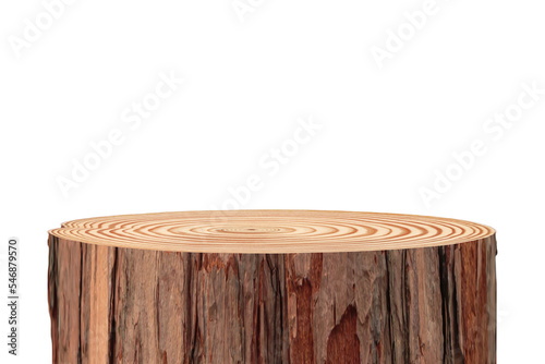 Fototapeta Stump, Cross section of tree trunk showing growth rings, Rustic old dark wood pi