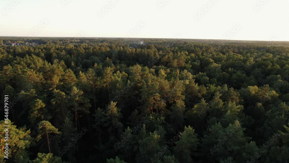 Aerial view of smoke over a residential building in a village in the forest from a shell explosion during hostilities Aerial view of smoke over a residential building in a village in the forest from a shell explosion during hostilities