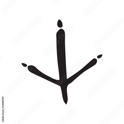 Chicken footprint