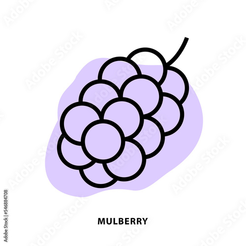 Mulberry linear icon design for application or web design template. Vector Mulberry-root line icon with blot shape background.