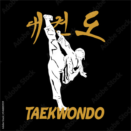 taekwondo karate martial art logo vector desing for t-shirt, or merchendise photo