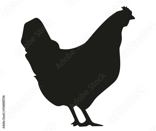 Photo Transparent chicken icon png on Transparent Background