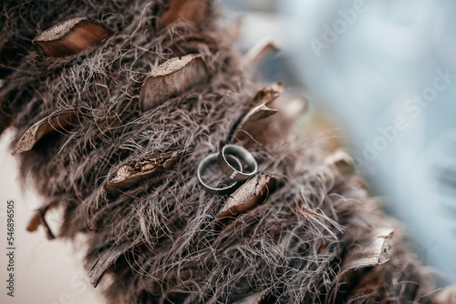 Trauringe für die Hochzeit