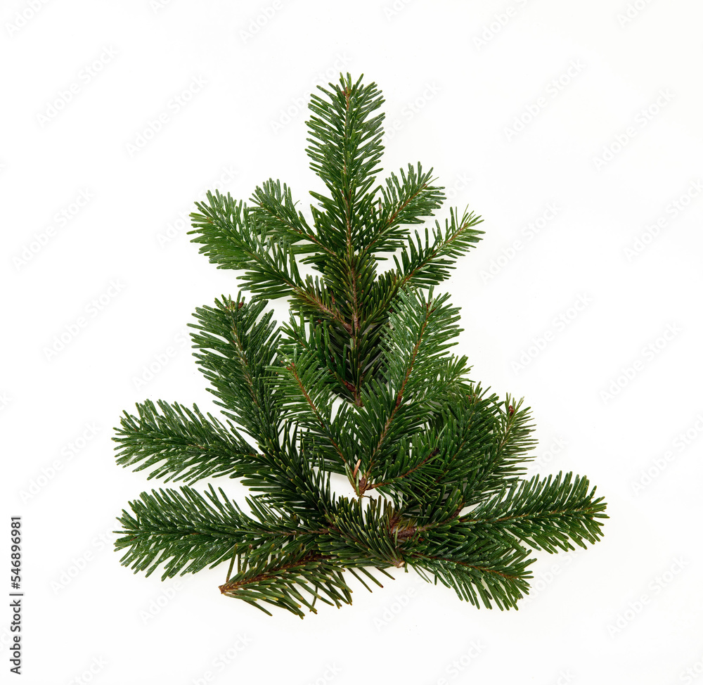 Christmas tree isolated on white. Fir twig Xmas tree shape.